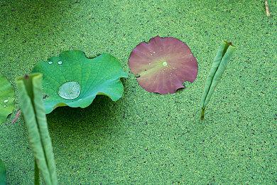 《火焰纹章无双 风花雪月》发布新TVCM 游戏6月24日发售